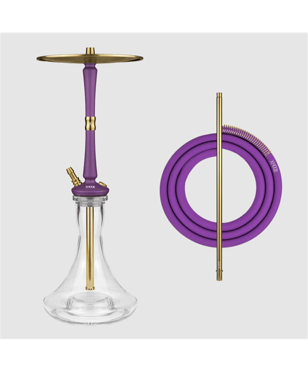Hoob Go | Royal Purple Gold