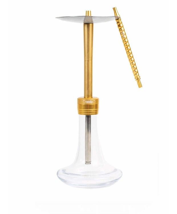 E18 Boksör Gökkuşağı Serisi Sarı